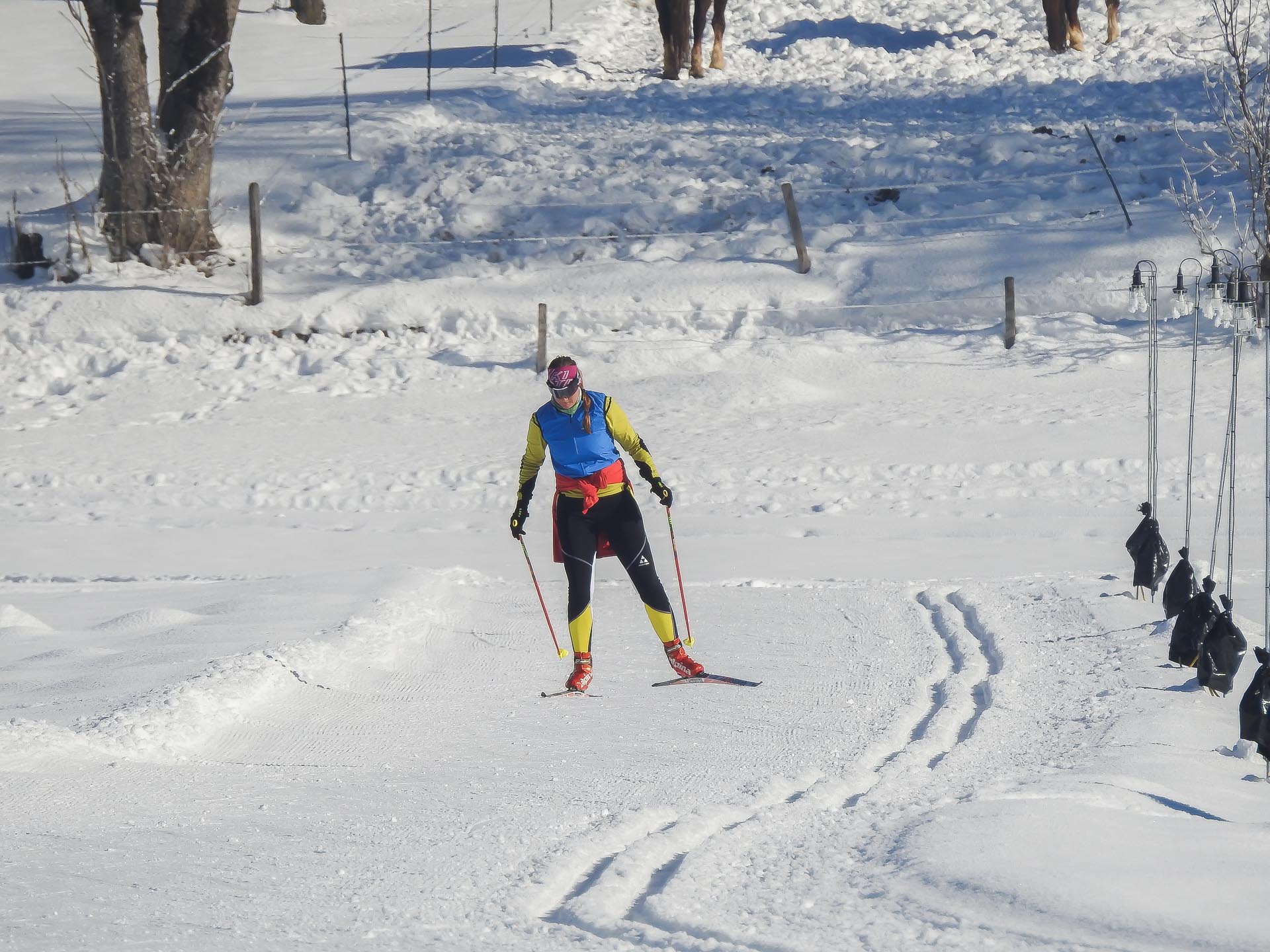 Langlaufen & Skating