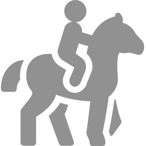reiterhof-grau.png