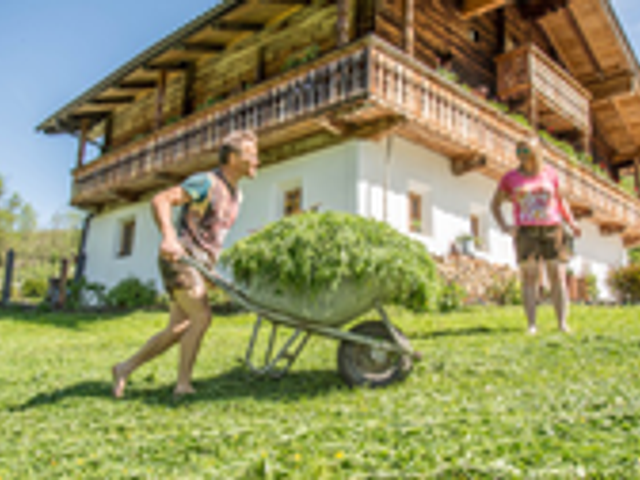 Bauernhof Bijo Farm